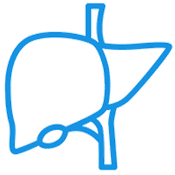 Hepatitis and Fatty Liver Center